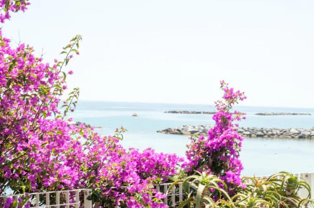 Rosa Centralissimo San Remo Kültér fotó